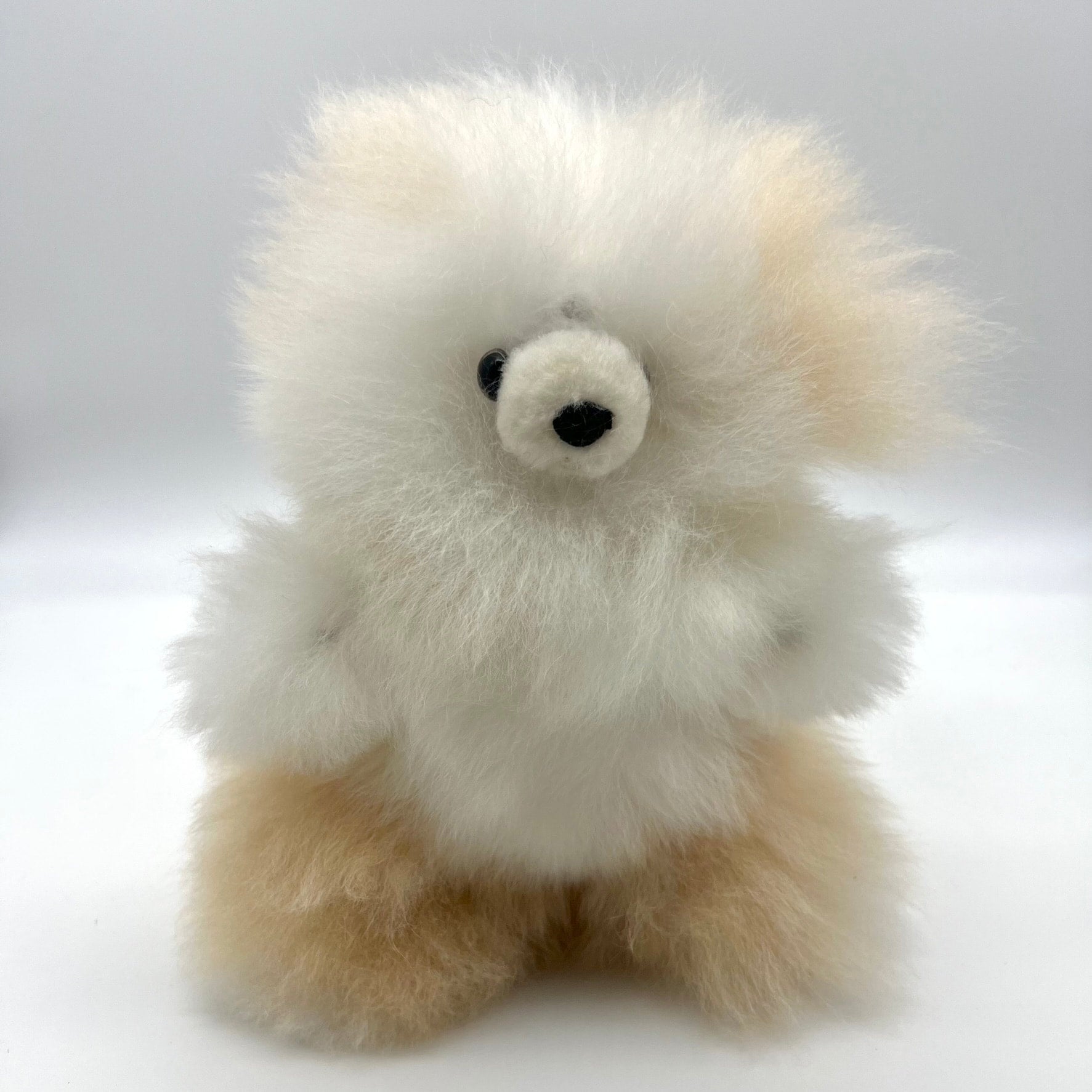 Lucky teddy 2025 bear